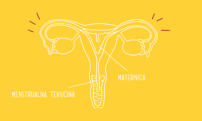 Tvoja prva menstruacija